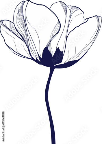 Minimalist navy blue line art vector of a single blooming tulip with curved stem, isolated on plain white background, suitable for wedding stationery, wall art prints and botanical branding.