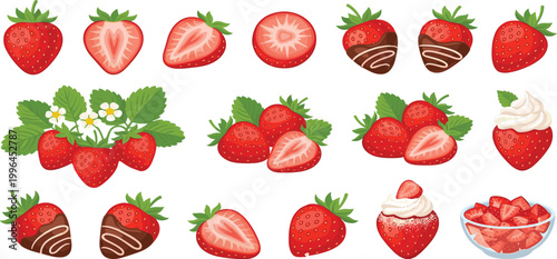 Fresh strawberry fruit vector collection featuring whole berries, slices, chocolate dipped strawberries, whipped cream toppings, and chopped berry bowls for food design.