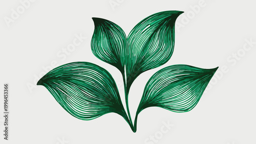 Vibrant line art green leaves with detailed vein patterns, vector illustration on a soft off-white background, concept for eco branding, botanical decor and organic product packaging.