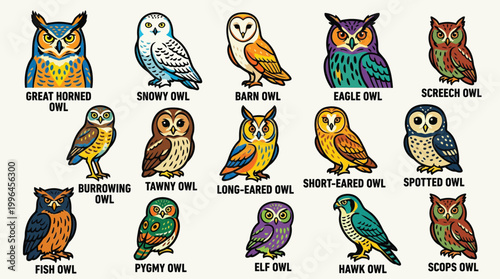 Slika na platnu A vibrant, illustrative collection showcasing fifteen distinct species of owls, each labeled with its common name