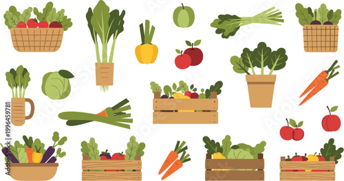 Fresh Vegetables and Fruit Crate Vector Set with Organic Produce Carrots Greens Apples and Farm Market Food Collection for Healthy Design