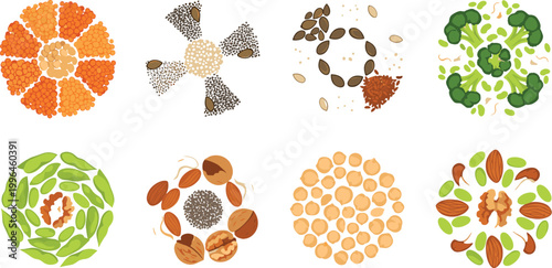 Seeds and Nuts Circular Pattern Vector Set with Lentils Beans Almonds Sunflower and Healthy Plant Based Food Background Design