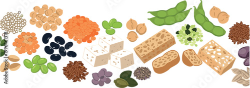 Plant Based Protein Food Vector Set with Beans Lentils Tofu Nuts Seeds and Soy Products for Vegan Diet Nutrition and Healthy Eating Design