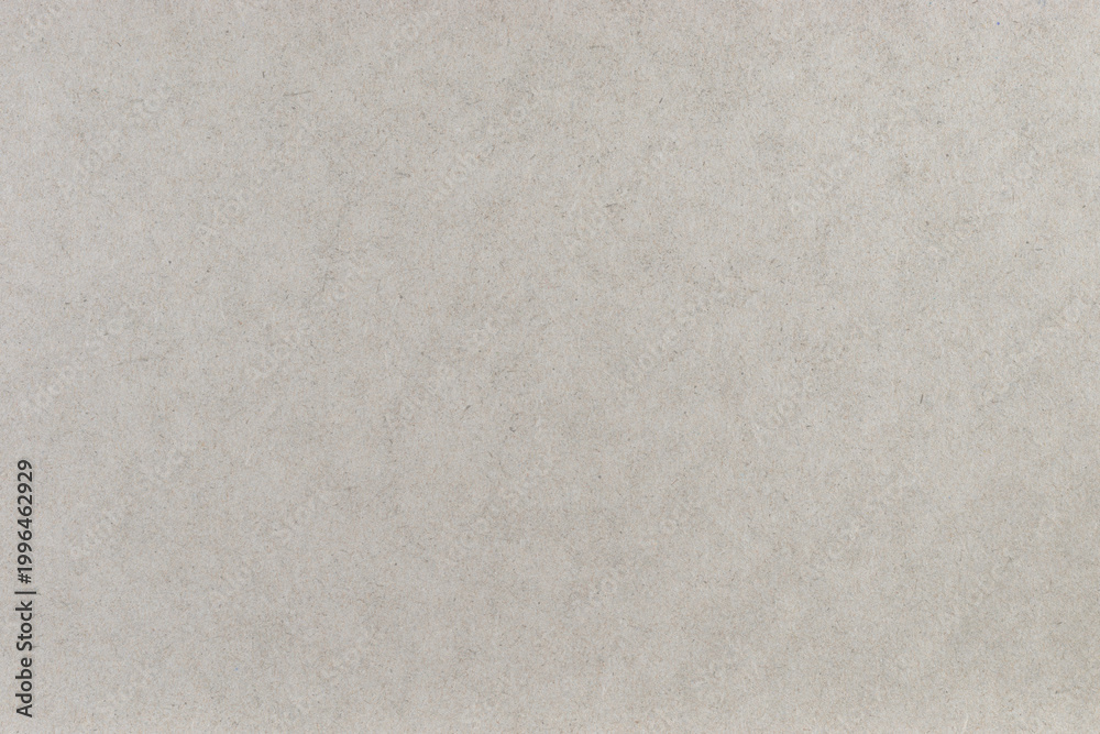 Fototapeta premium Ash Gray, Recycled paper texture or background