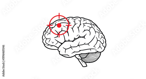 Photos Illustration of a human brain with a target symbol focusing on a specific area