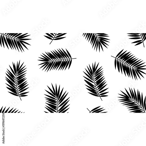 Black Palm Fronds Vector Illustration Set