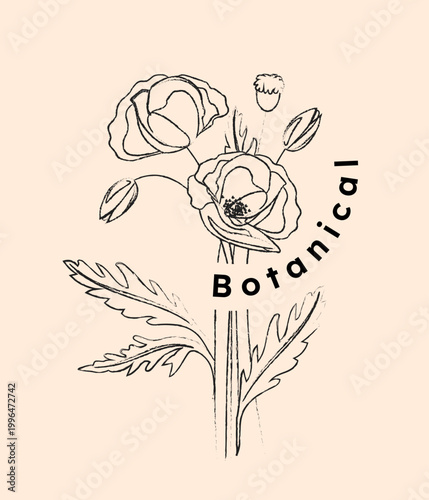 Hand-drawn floral composition with delicate poppy flowers in minimal line art style on a soft beige background, conveying a natural elegance concept. Hand-drawn vector illustration