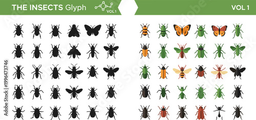 
Insect Glyph Black Silhouette and Flat Colorful Butterfly Beetle Bee Bug Icon Vector Illustration Collection Set for Nature Design