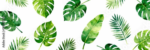 Watercolor Tropical Palm and Monstera Leaves