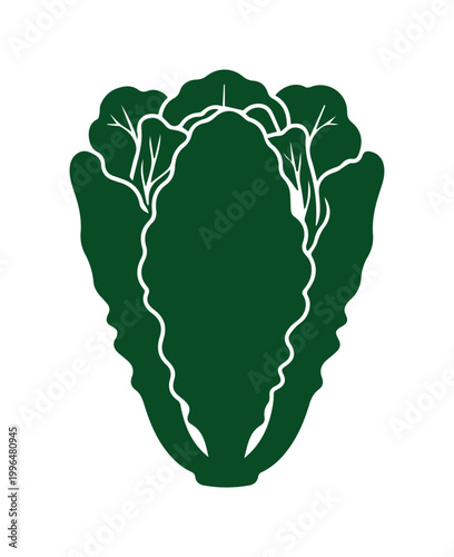 Napa cabbage vector icon, dark green Chinese cabbage silhouette, fresh organic leafy vegetable illustration for grocery and culinary design