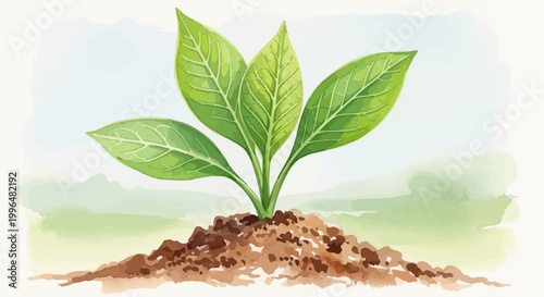 Fotografia Green sprout growing from fertile soil, symbolizing growth and new beginnings