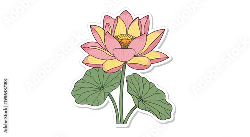 Pink and Yellow Lotus Flower Illustration with Green Leaves, Isolated