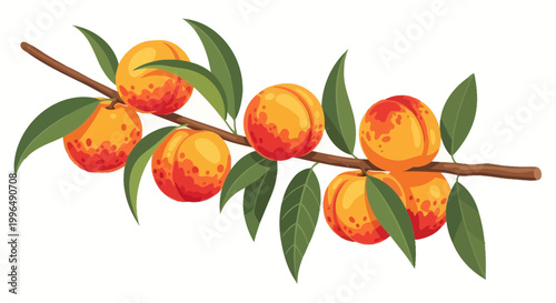 Ripe Peaches on a Branch with Green Leaves, Summer Harvest