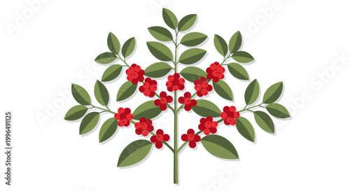 Stylized Coffee Plant with Red Berries and Green Leaves, Isolated on White