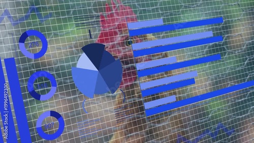 Rooster shifting gaze as blue charts sliding in and growing, visualizing farm metrics