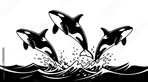 Striking minimalist black and white illustration of three majestic marine mammals, powerful orcas, dynamically leaping from the ocean's surface with energetic splashes