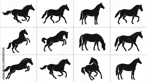 A striking grid display of twelve distinct horse silhouettes, each capturing unique powerful movements and graceful poses, perfect for showcasing equine vitality and elegance in various designs