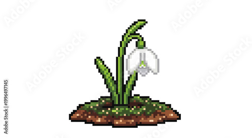Pixel Art Snowdrop Flower Blooming in Spring.