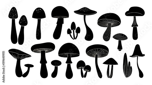 Set of mushroom and toadstool vector illustration