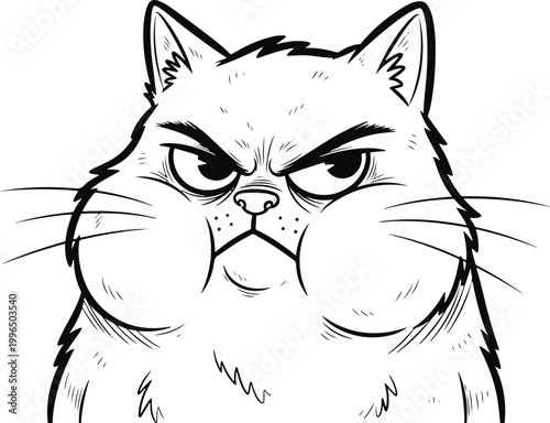 Grumpy Cat's Intense Stare From Under Furry Cheeks