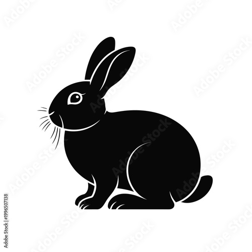 rabbit silhouette sitting on white background high quality