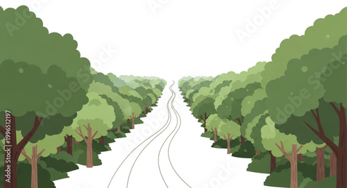 Empty road through a dense green forest leading to bright sky.