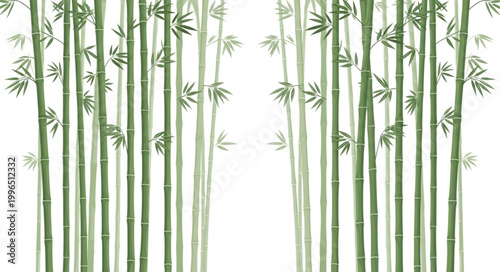Green bamboo stalks with leaves in a pattern.