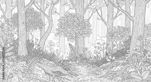 Forest illustration detailed black and white artwork of trees and vegetation