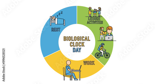 A vector illustration shows Biological Clock Day with a segmented cycle of rest, social activities, and work, depicted in a time and health infographic with a clean design and a focus