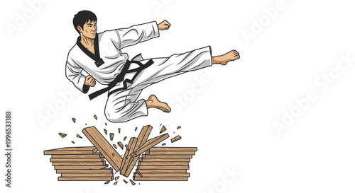 Martial artist performing a high kick breaking wooden boards isolated illustration