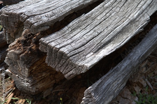 Εκτύπωση καμβά Old wooden log with cracked texture