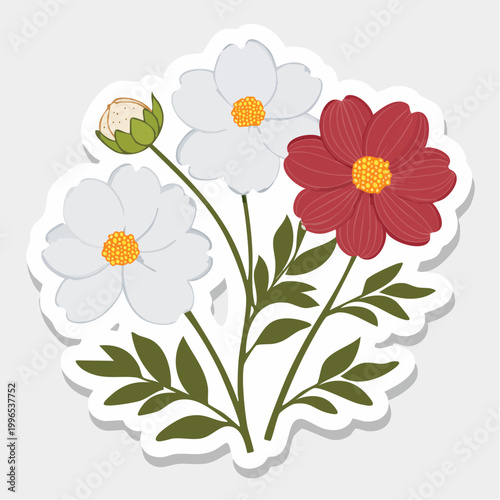 Illustration of a Red and White Cosmos Flower Bouquet