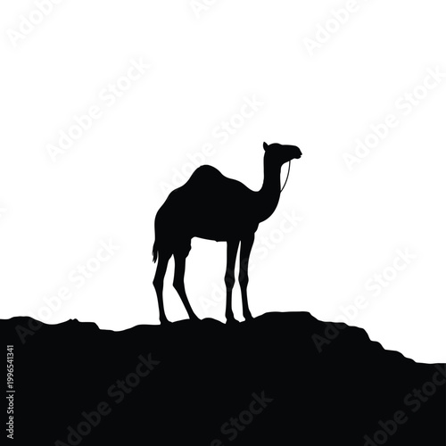 Silhouette of a dromedary camel standing on barren desert terrain against a white background.