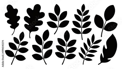 Black and white fern leaves illustration with elegant pattern Vector