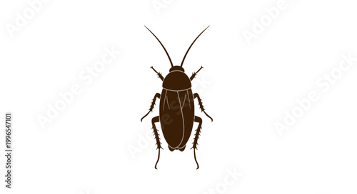 Brown Cockroach Insect on White Background.