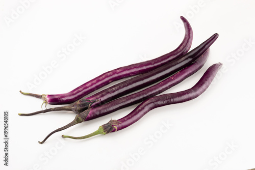 Purple Line Eggplant on White Background