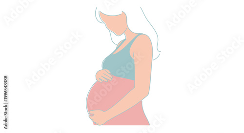 Stylized illustration of an expectant mother gently cradling her pregnant belly, representing new life, motherhood, and anticipation of a baby's arrival