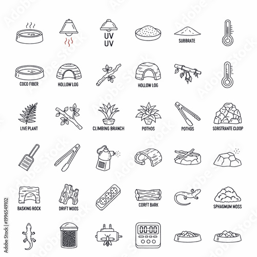 Collection of icons representing reptile terrarium accessories and supplies for pet care.