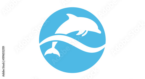 Dolphin jumping out of water.