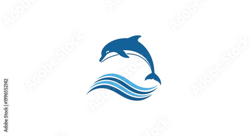 Dolphins jumping out of water.