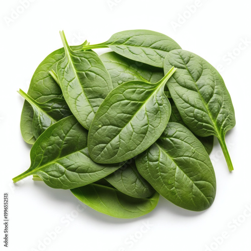 A vibrant pile of fresh green spinach leaves on a white background