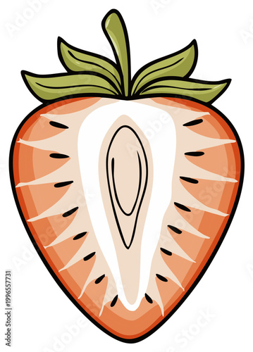 Illustration of a strawberry cut in half, showing internal structure.