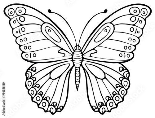 Detailed outline illustration of a butterfly with symmetrical wings showcasing intricate patterns and antennae