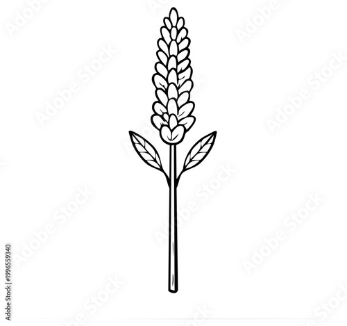 Simple line drawing of a flowering plant with multiple small blossoms on a single stalk and two leaves