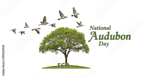 National Audubon Day vector design featuring birds flying above a vibrant green tree, symbolizing nature conservation and wildlife protection, set against a clean white background promoting