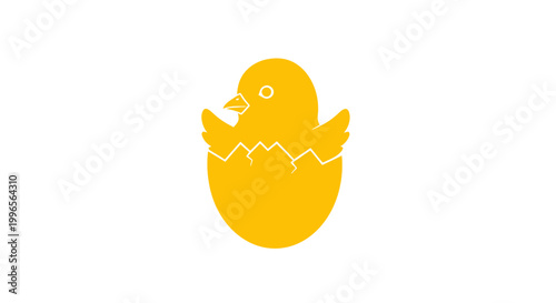Yellow Chick Hatching from Egg.