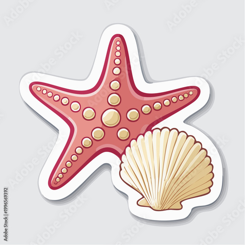 Illustration of a Red Starfish and a Scallop Shell