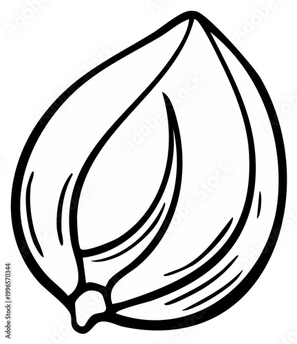 Garlic Clove Outline Sketch Simple Isolated Line Art Illustration Bulb Vegetable Food Ingredient Cooking Flavoring Spice
