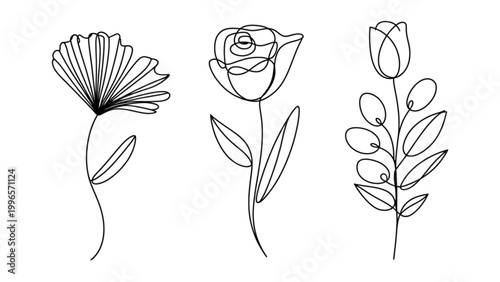 Three elegant black and white line art flowers in a simple arrangement Vector