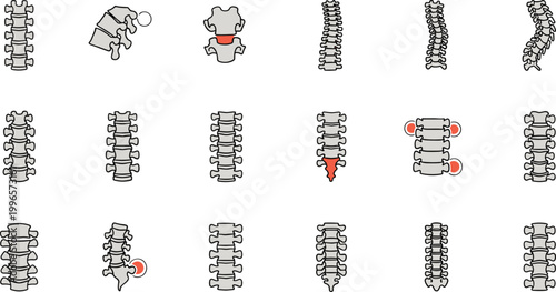 Human spine vector illustrations showing anatomy and vertebrae conditions